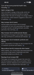 To find the debate around seed oils confusing?