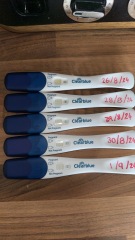 Clear blue test. Evap line or positive