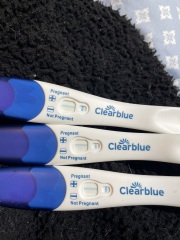 Pregnant or not ? Clear blue