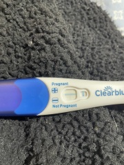 Pregnant or not ? Clear blue