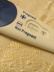 Clear blue test. Evap line or positive