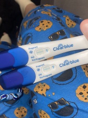 Clear blue test. Evap line or positive