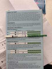 Pregnancy Test - Confusion/Advice.