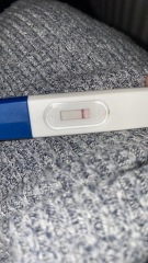 Clear blue test. Evap line or positive