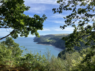 Bluestocking - the second leg