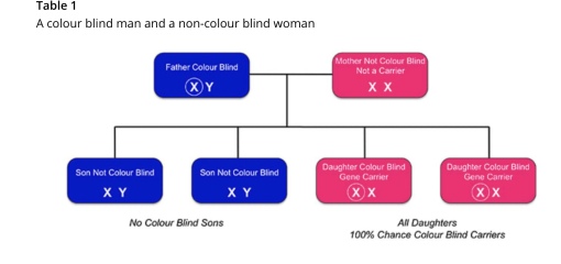 Do people just not know what Turquoise is?