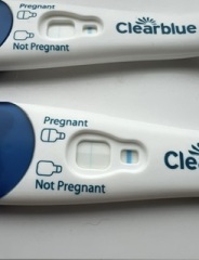 Evap lines clear blue