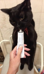Tooth decay