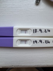 Brought menopause test instead of pregnancy test