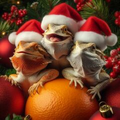 Bluestocking - the second leg