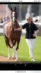 Royal Style: Diamonds are a Queen's best friend..