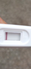 Early pregnancy test