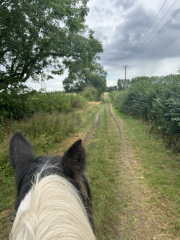 Adult new or returning riders part 2