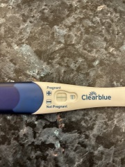 11DPO evaporation line or positive?