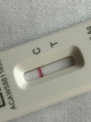 Can you see a very faint line…