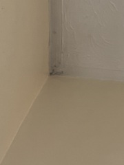 Weird speck on my ceiling