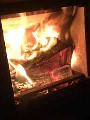 A Novice With A Log Burner Stove
