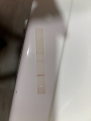 Thick pink line, evap?