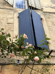 The Autumnal Christmas Chronicles Preamble thread