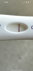 6dpo