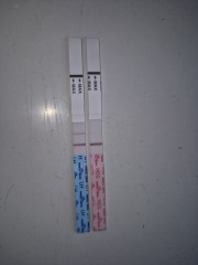 Early Tester... cruel evap?