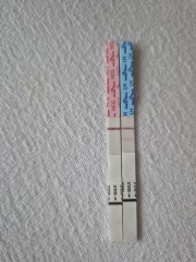 Early Tester... cruel evap?