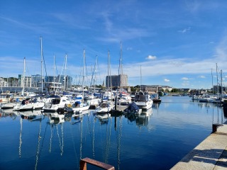 Bluestocking - the second leg