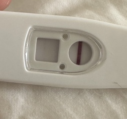 Positive or EVAP Line? PLEASE HELP