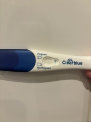 A line eye enthusiast #3