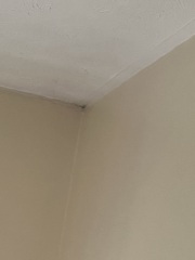 Weird speck on my ceiling