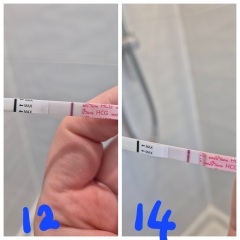 14dpo, line too faint ?