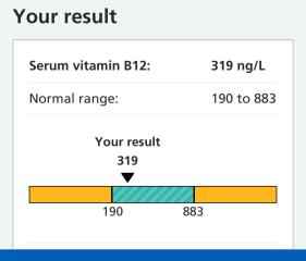 Would you be taking an Iron Supplement with these results? (Pic included)