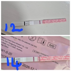 14dpo, line too faint ?