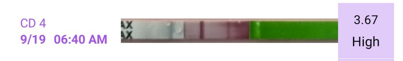 Two lines on an ovulation test? Could it indicate Pregnancy