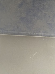 Is this mould, dirt or what?