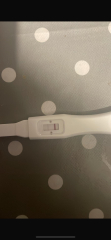 TWW Fresh Embryo Transfer Symptoms