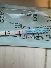 Anyone about to go into an ovulation week?