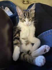What mix do you think he could be?!