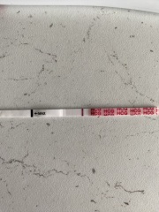 9DPO very faint lines?