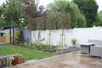 Overlooked Garden