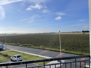 Spring has sprung...let's Countdown to Christmas 2024 (Thread 2)