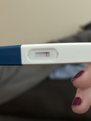 Faint positive or evap lines?