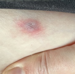 Please help identify what this is!