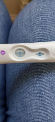 Ovulated 14 days after surgical miscarriage and now in the tww