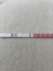 Can you see something?