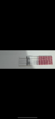 Pregnancy test