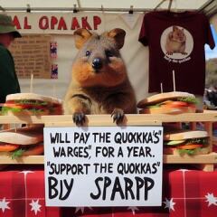 Les Bas Bleus, The Bluestocking...