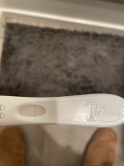 Pregnant or not ?