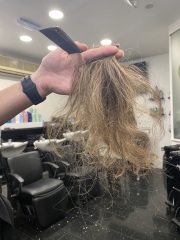 Amigos actively attempting austere actions August 24>