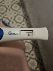 It's finally happened, 5 weeks pregnant.